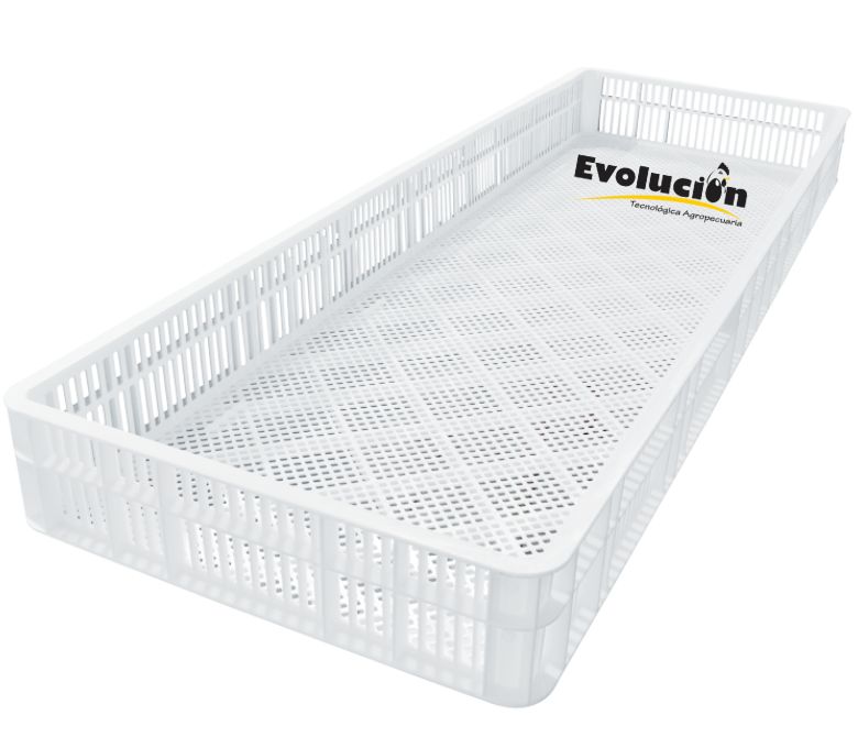 Charola nacedora 165 huevos