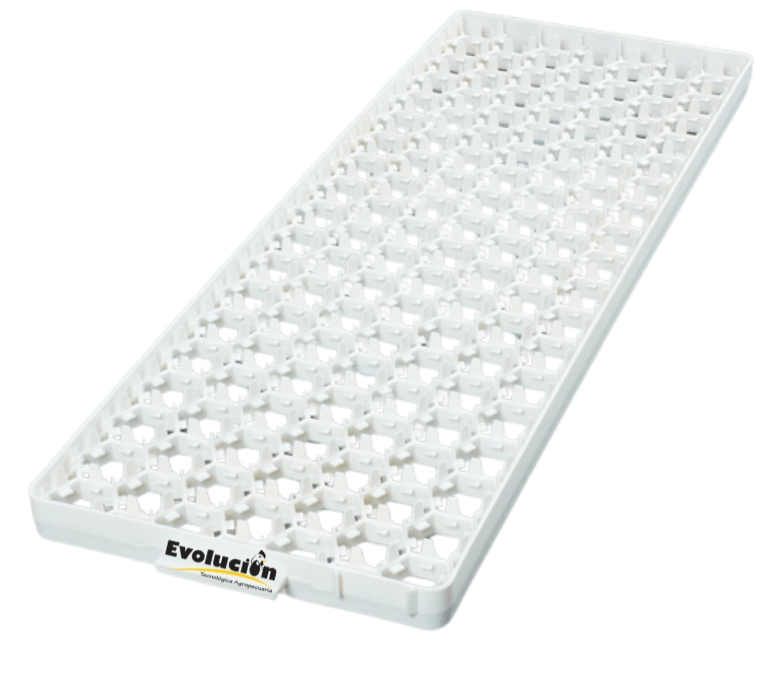 Filler de una pieza BEST-002