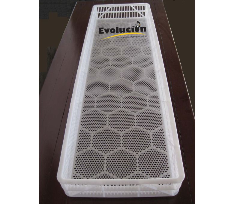 Charola para nacedora 168 huevos